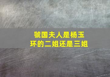 虢国夫人是杨玉环的二姐还是三姐