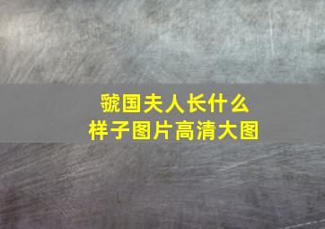 虢国夫人长什么样子图片高清大图