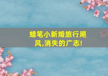 蜡笔小新婚旅行飓风,消失的广志!