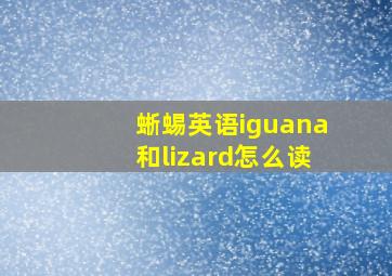 蜥蜴英语iguana和lizard怎么读