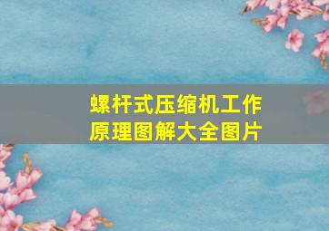 螺杆式压缩机工作原理图解大全图片