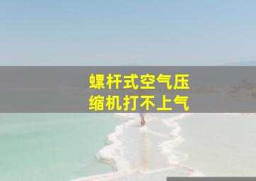 螺杆式空气压缩机打不上气