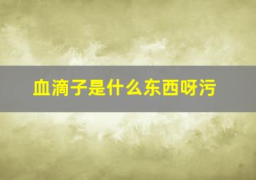 血滴子是什么东西呀污