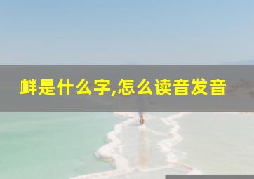 衅是什么字,怎么读音发音