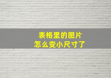 表格里的图片怎么变小尺寸了