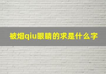 被烟qiu眼睛的求是什么字