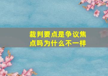 裁判要点是争议焦点吗为什么不一样