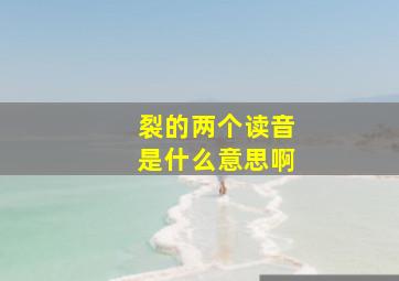 裂的两个读音是什么意思啊