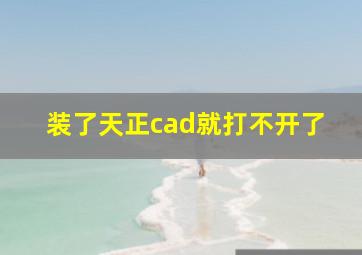 装了天正cad就打不开了