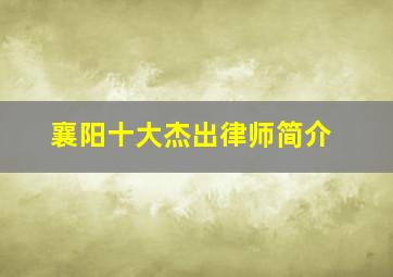 襄阳十大杰出律师简介