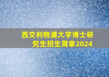 西交利物浦大学博士研究生招生简章2024