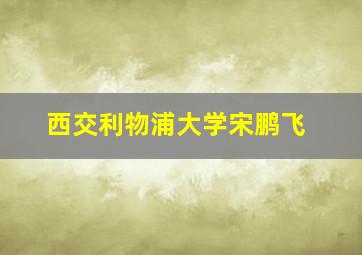 西交利物浦大学宋鹏飞