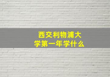 西交利物浦大学第一年学什么