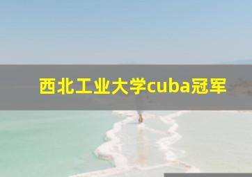 西北工业大学cuba冠军