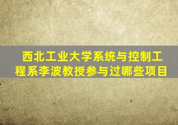 西北工业大学系统与控制工程系李波教授参与过哪些项目