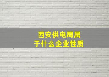 西安供电局属于什么企业性质