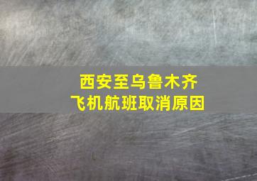 西安至乌鲁木齐飞机航班取消原因