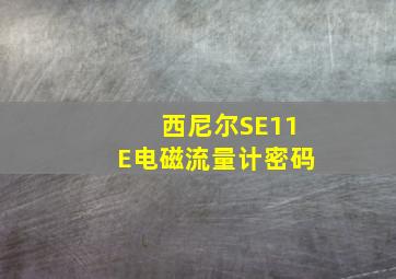 西尼尔SE11E电磁流量计密码