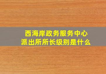 西海岸政务服务中心派出所所长级别是什么