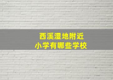 西溪湿地附近小学有哪些学校