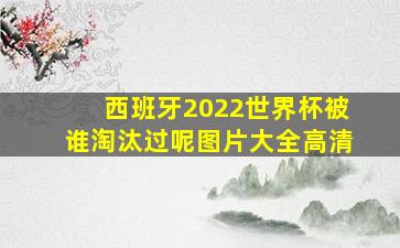 西班牙2022世界杯被谁淘汰过呢图片大全高清