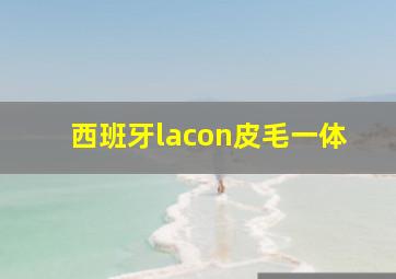 西班牙lacon皮毛一体