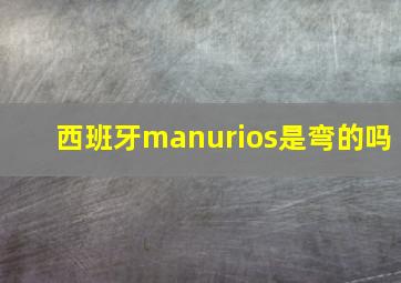 西班牙manurios是弯的吗