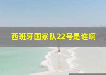 西班牙国家队22号是谁啊