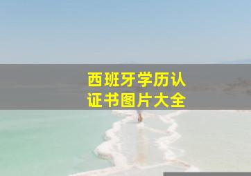 西班牙学历认证书图片大全