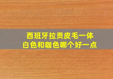 西班牙拉贡皮毛一体白色和咖色哪个好一点