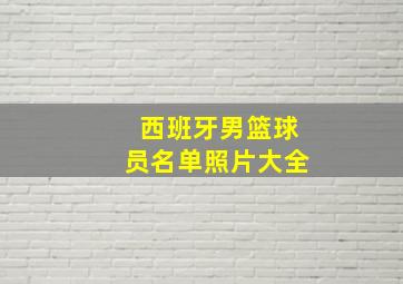 西班牙男篮球员名单照片大全