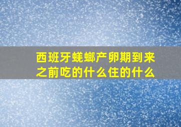 西班牙蜣螂产卵期到来之前吃的什么住的什么