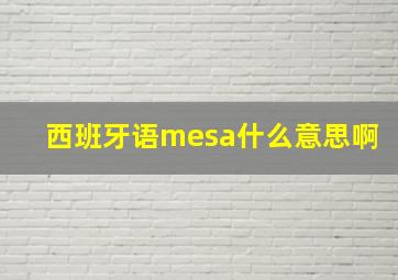 西班牙语mesa什么意思啊