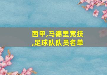 西甲,马德里竞技,足球队队员名单