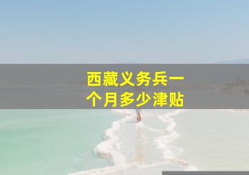 西藏义务兵一个月多少津贴