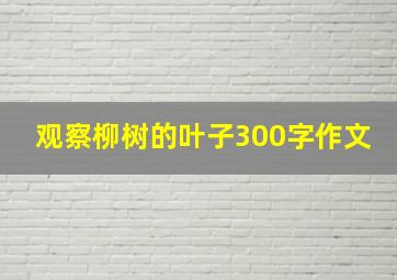 观察柳树的叶子300字作文