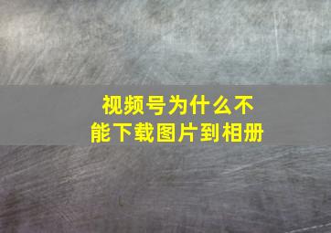 视频号为什么不能下载图片到相册