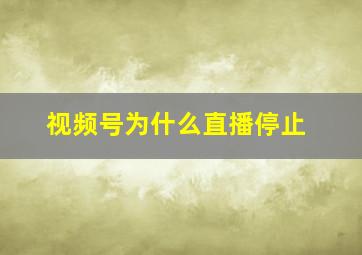 视频号为什么直播停止