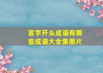 言字开头成语有哪些成语大全集图片