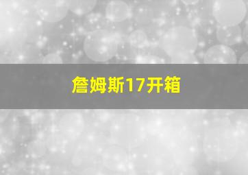 詹姆斯17开箱