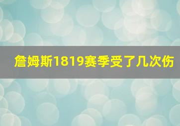 詹姆斯1819赛季受了几次伤