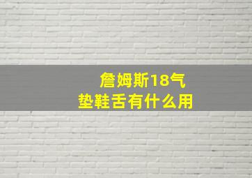 詹姆斯18气垫鞋舌有什么用