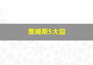 詹姆斯5大囧