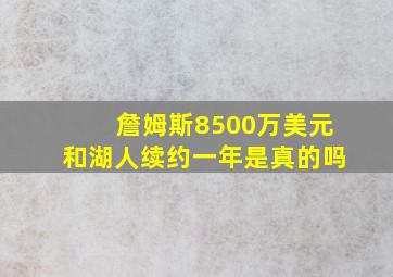 詹姆斯8500万美元和湖人续约一年是真的吗