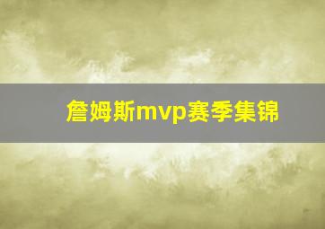 詹姆斯mvp赛季集锦