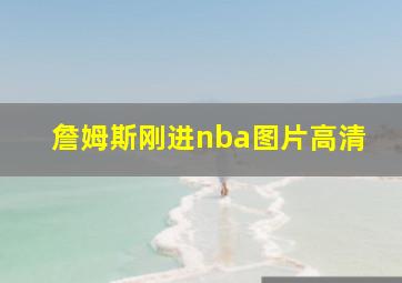 詹姆斯刚进nba图片高清