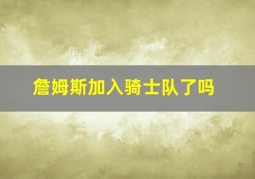 詹姆斯加入骑士队了吗