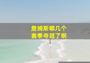 詹姆斯哪几个赛季夺冠了啊