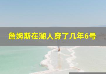 詹姆斯在湖人穿了几年6号