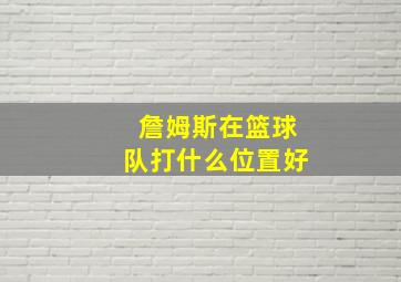 詹姆斯在篮球队打什么位置好